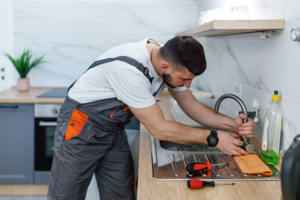Best Commercial Plumbing Services  in Fremont, NE