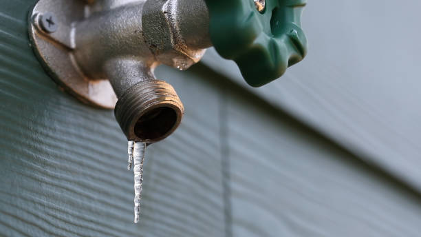 Best Residential Plumbing Services  in Fremont, NE