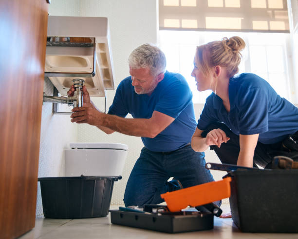 Best Plumbing Inspection Services  in Fremont, NE